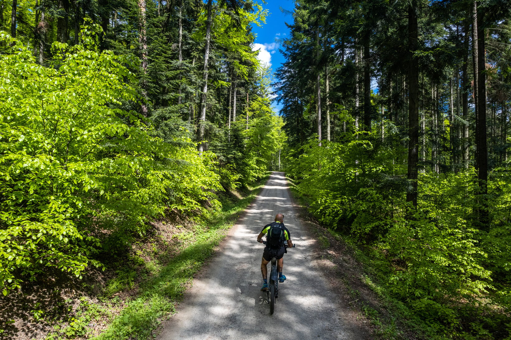 Man on Mtb Bike Ride Trough Lush Forest at Spring, Aerial Drone